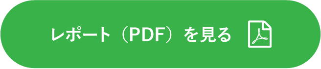 レポート（PDF）を見る