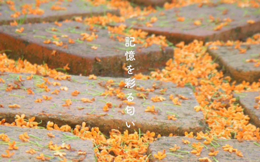 画像に alt 属性が指定されていません。ファイル名: %E9%87%91%E6%9C%A8%E7%8A%80%EF%BC%BF%E7%9C%9F%E5%B1%B1%E7%9F%AD%E5%AF%B8%EF%BC%BF%E8%A8%98%E6%86%B6%E3%82%92%E5%BD%A9%E3%82%8B%E5%8C%82%E3%81%84-1024x640-1.jpg