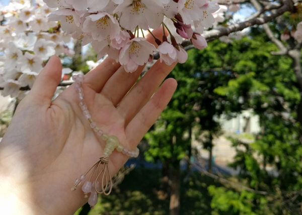 「花好み©桜」　ご感想を頂きました。